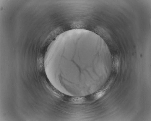 X0000062630526200601181723