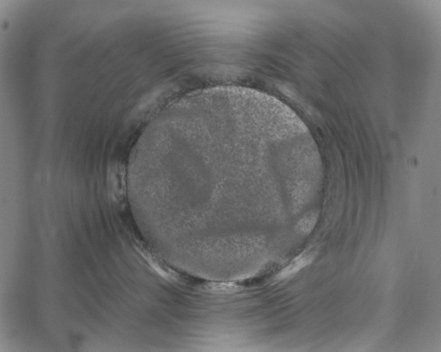 X0000062630528200601181723