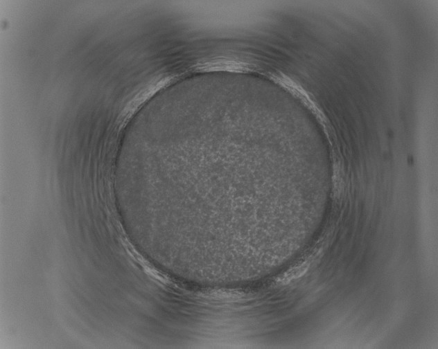 X0000062630529200601181722