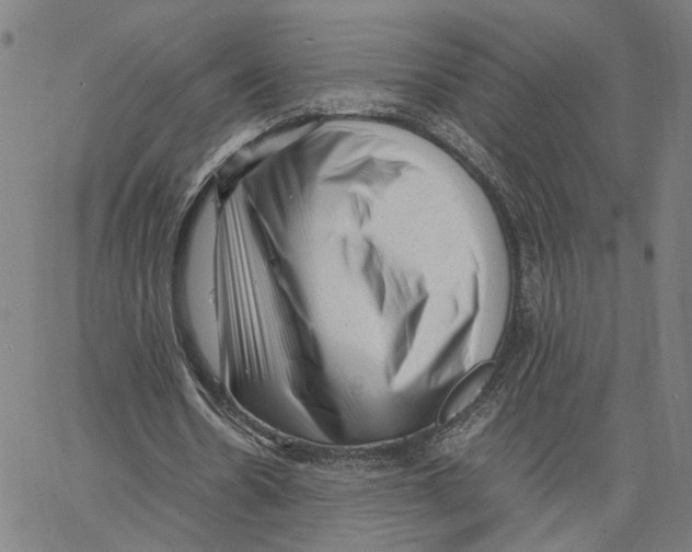 X0000062630530200601181722