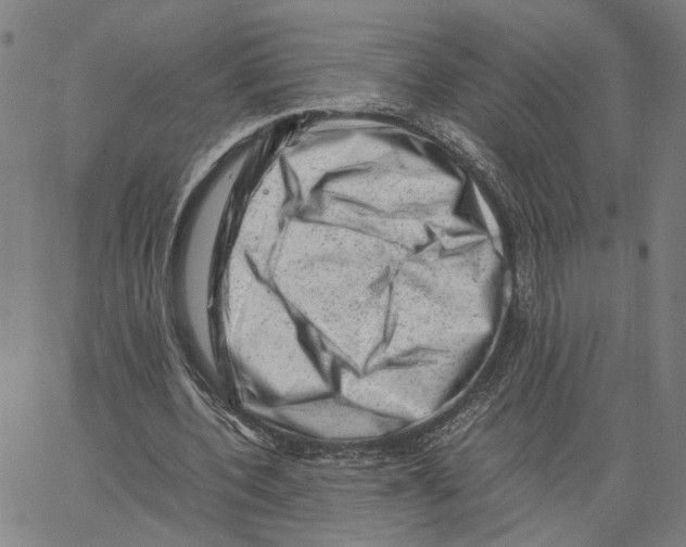 X0000062630532200601181722