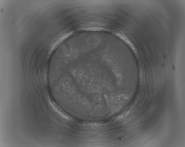 X0000062630533200601181722