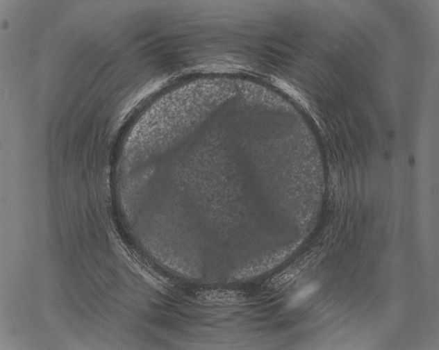 X0000062630535200601181722