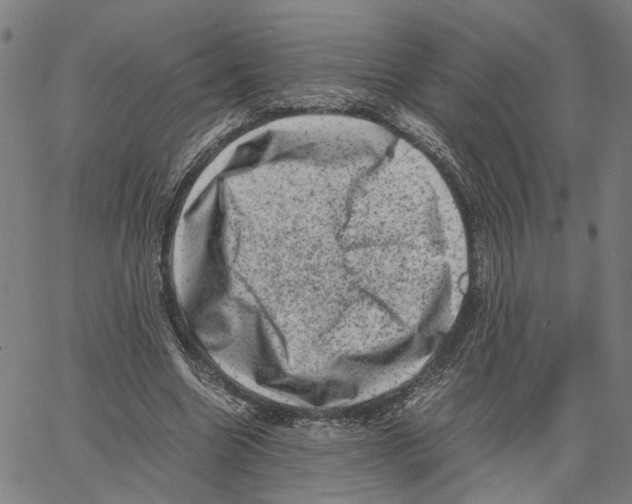 X0000062630538200601181722