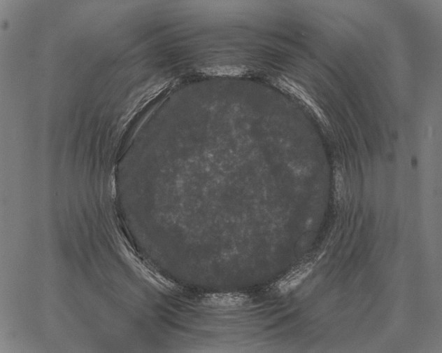 X0000062630541200601181722