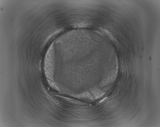 X0000062630543200601181722