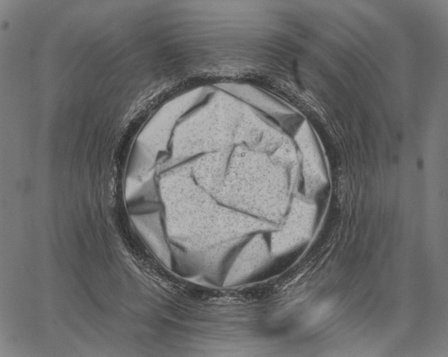 X0000062630544200601181722