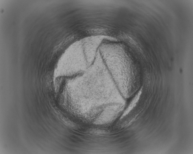 X0000062630545200601181722