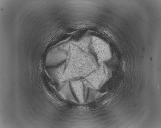 X0000062630546200601181722