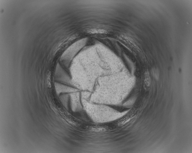 X0000062630547200601181722