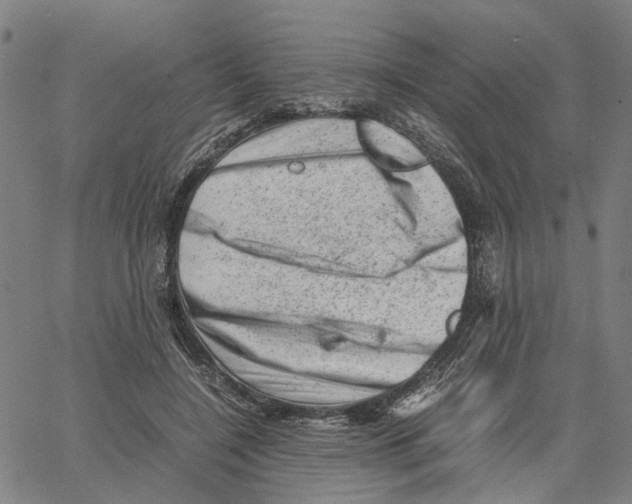 X0000062630548200601181722