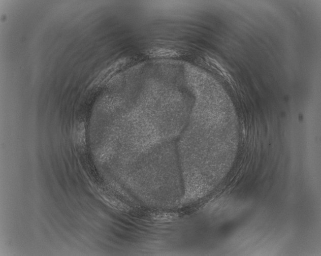 X0000062630549200601181722