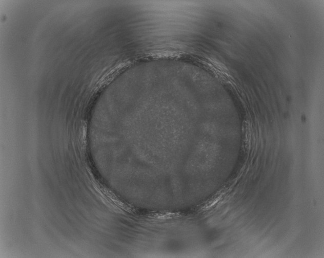 X0000062630550200601181722