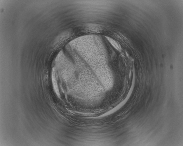 X0000062630552200601181722