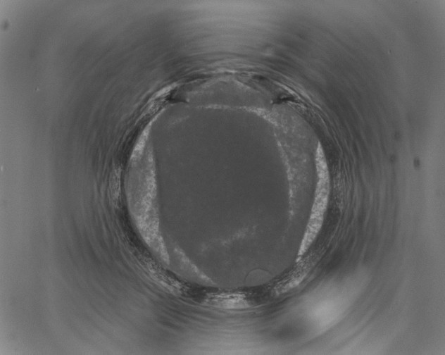 X0000062630554200601181722