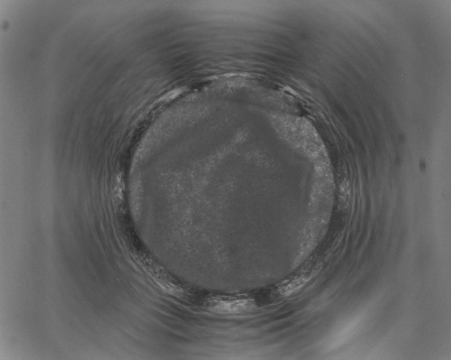 X0000062630555200601181722