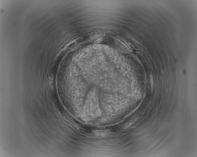 X0000062630556200601181722