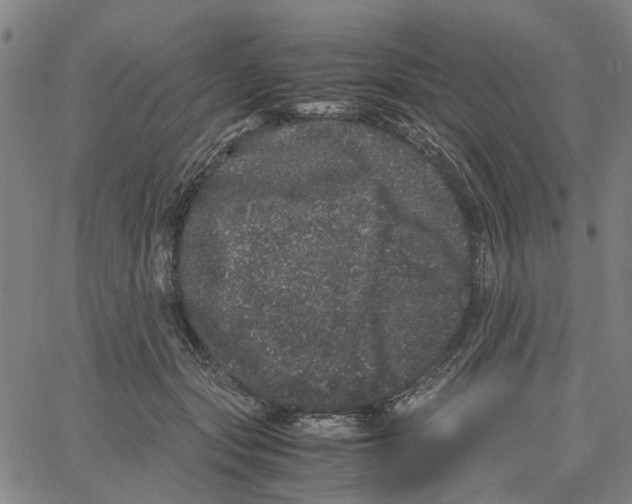 X0000062630557200601181722