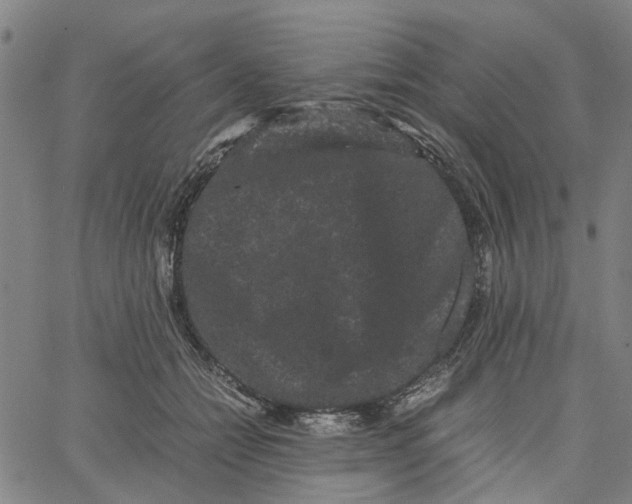 X0000062630558200601181722