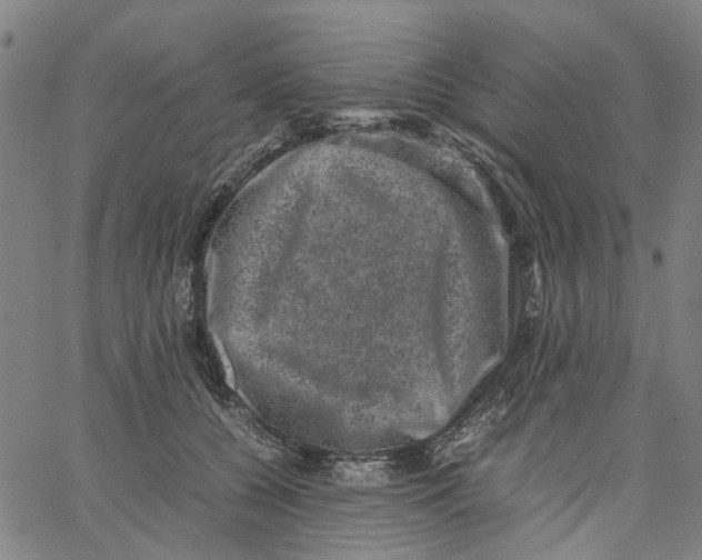 X0000062630560200601181722