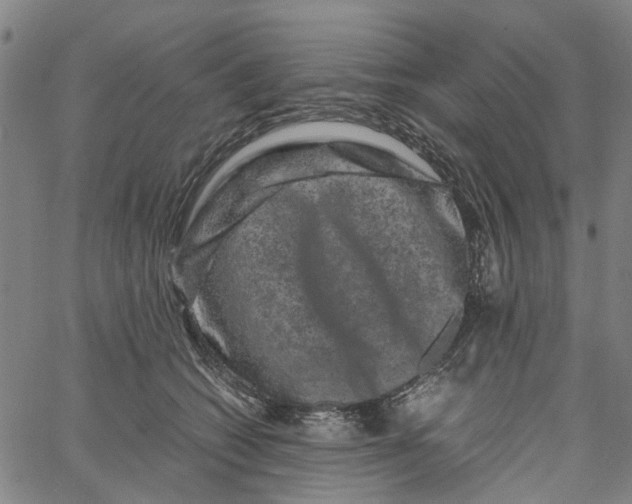 X0000062630562200601181722