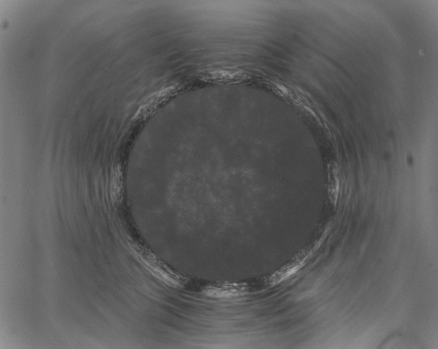 X0000062630563200601181722