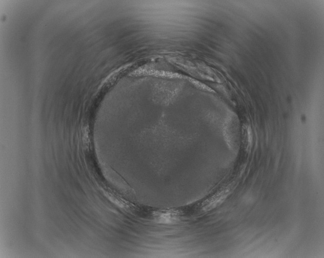 X0000062630564200601181722