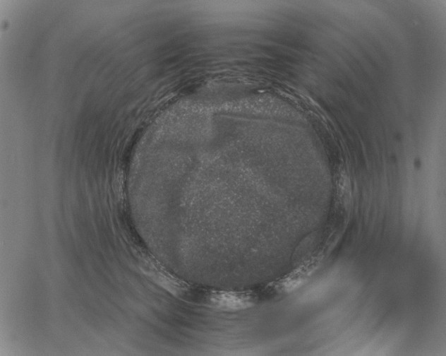 X0000062630565200601181723