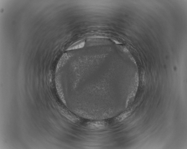 X0000062630567200601181723