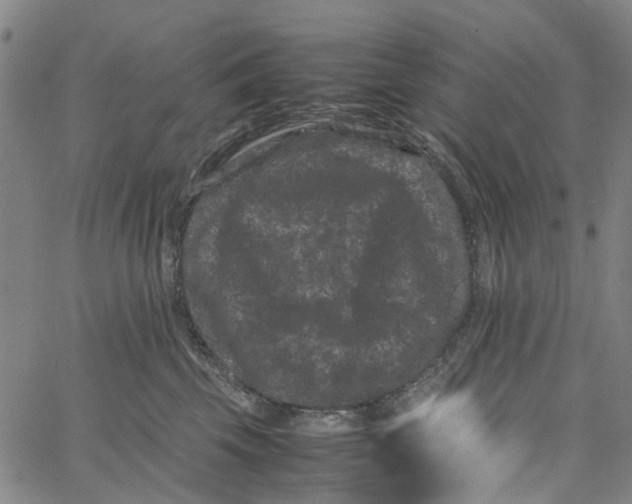 X0000062630569200601181723