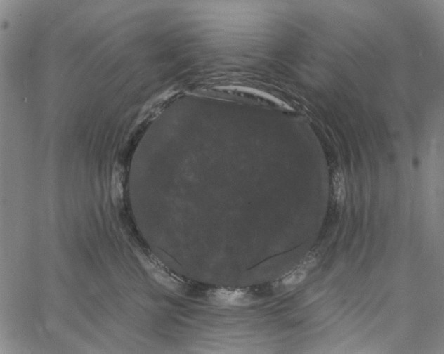 X0000062630570200601181723