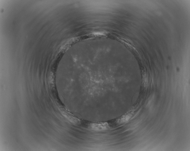 X0000062630571200601181723