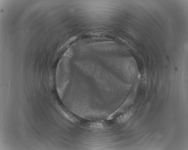 X0000062630572200601181723