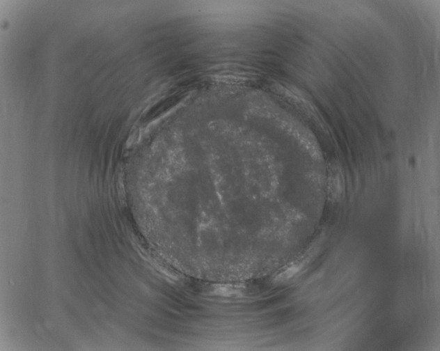 X0000062630573200601181723