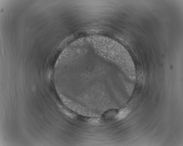 X0000062630574200601181723