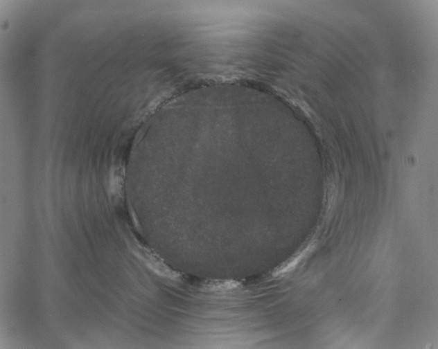 X0000062630576200601181723