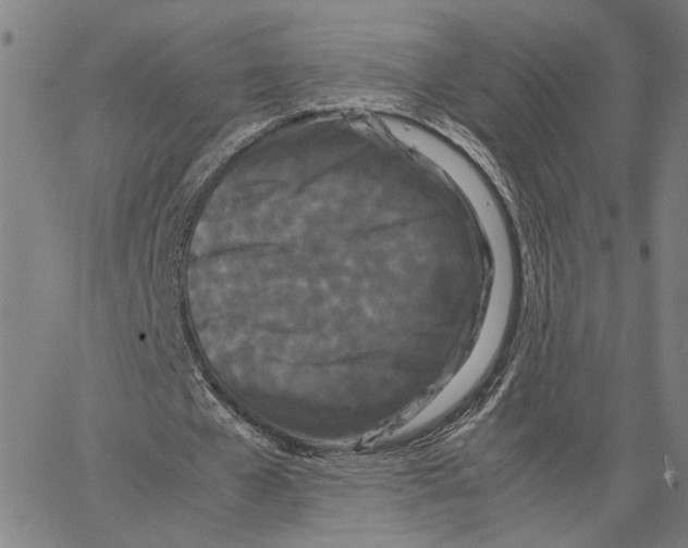 X0000062630577200601181722