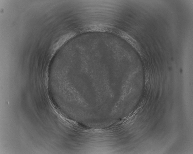 X0000062630578200601181722