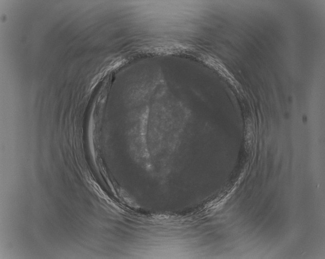 X0000062630585200601181722