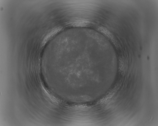 X0000062630586200601181722