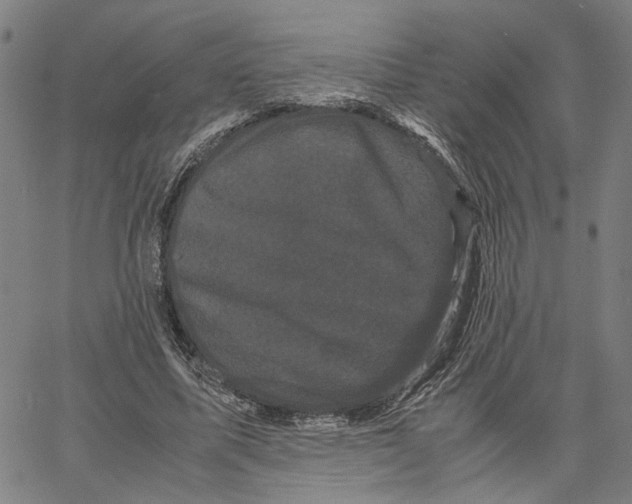 X0000062630587200601181722