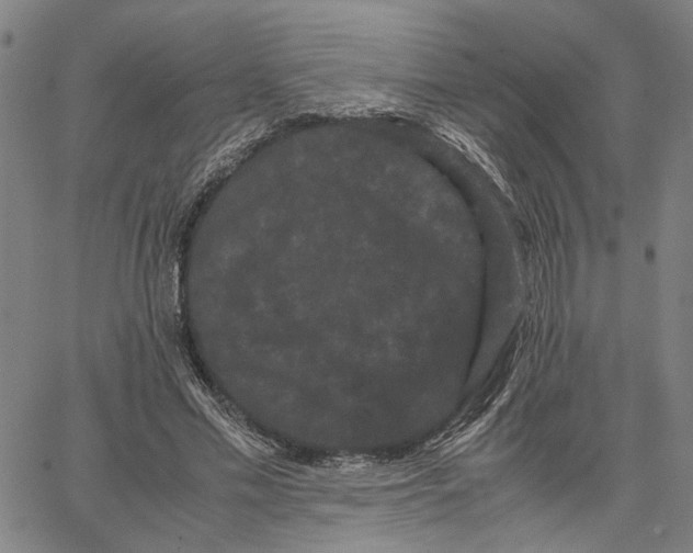 X0000062630589200601181722