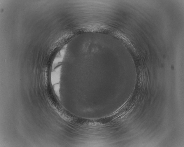 X0000062630590200601181722