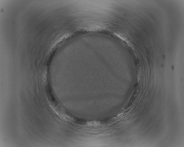 X0000062630591200601181722