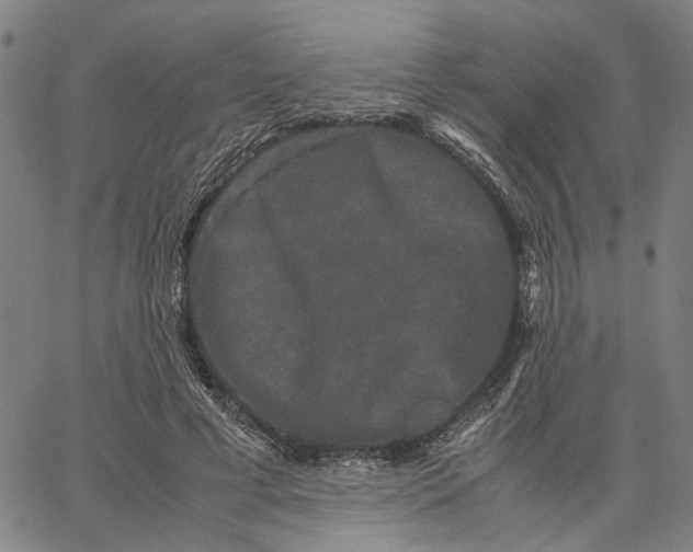 X0000062630593200601181722