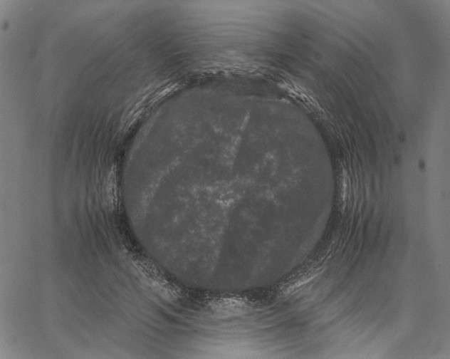 X0000062630594200601181722