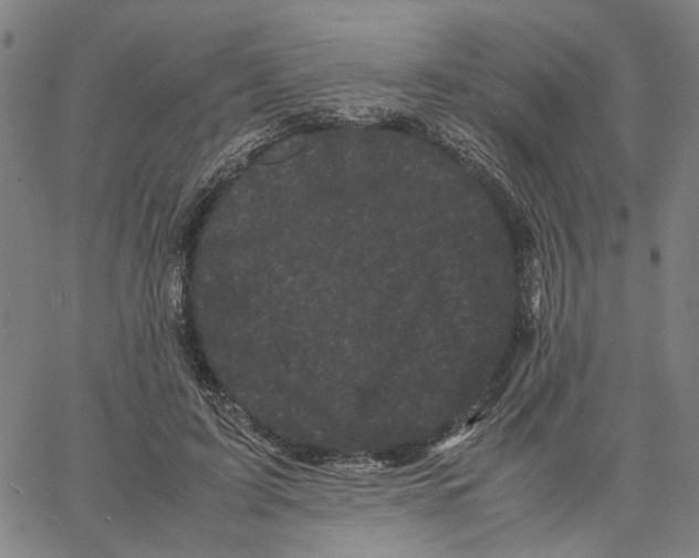 X0000062630595200601181722