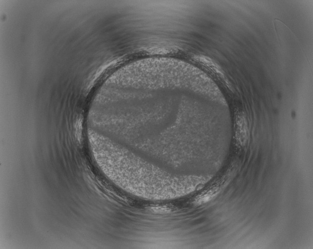 X0000062630596200601181722