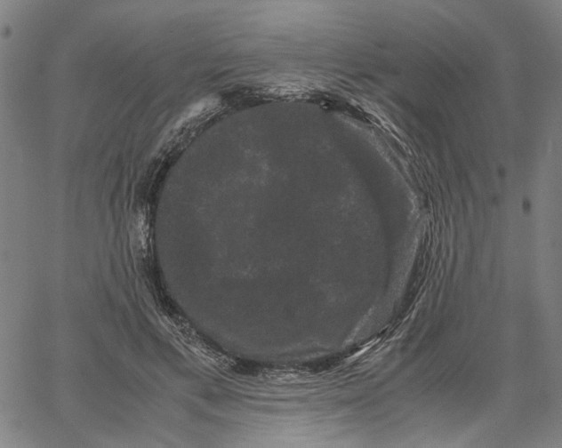 X0000062630597200601181722