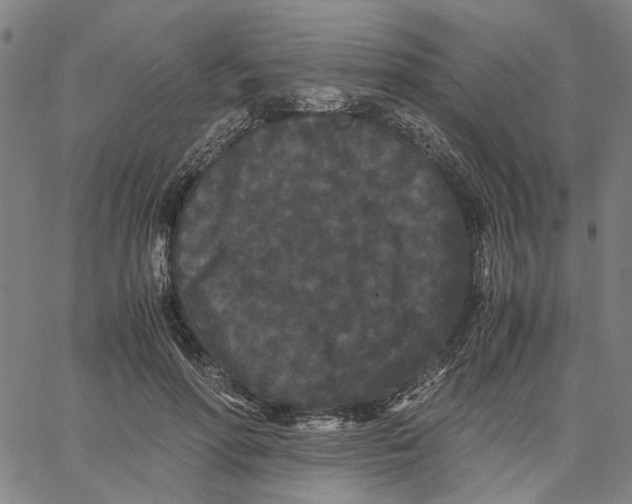 X0000062630598200601181722